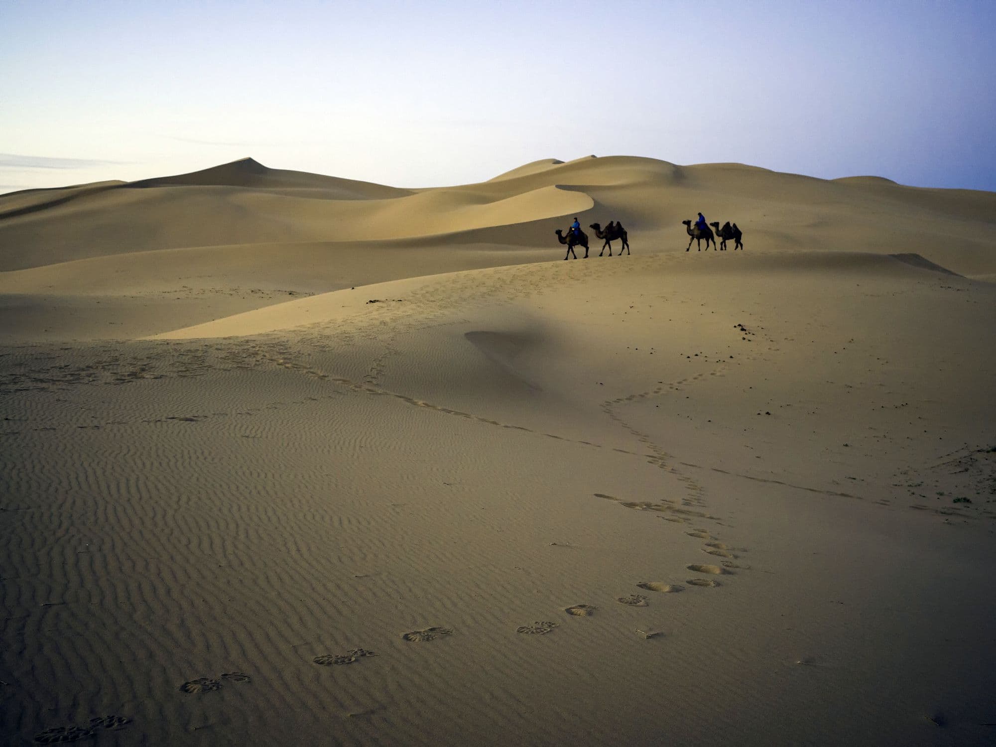 Gobi Desert, Mongolia