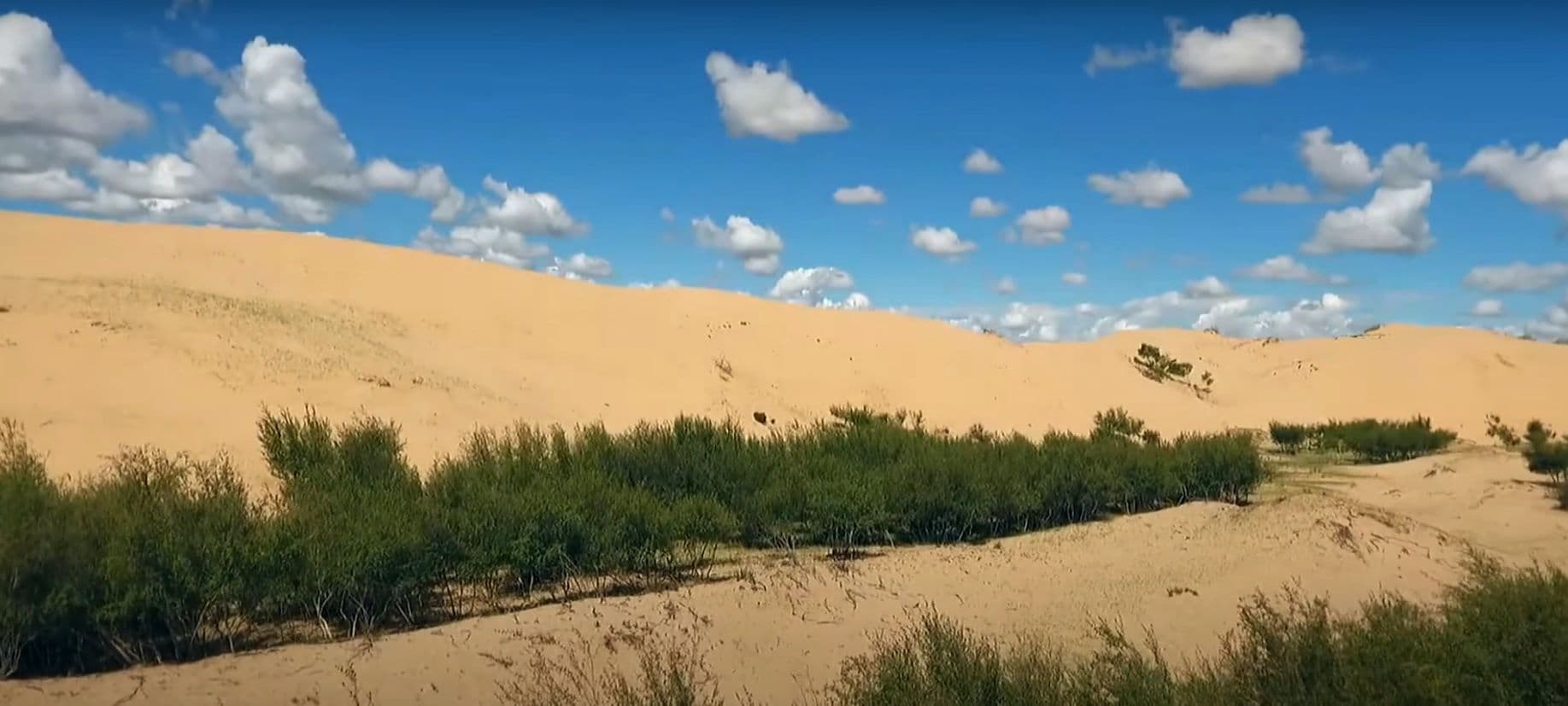 Elsen tasarkhai in Mongolia.