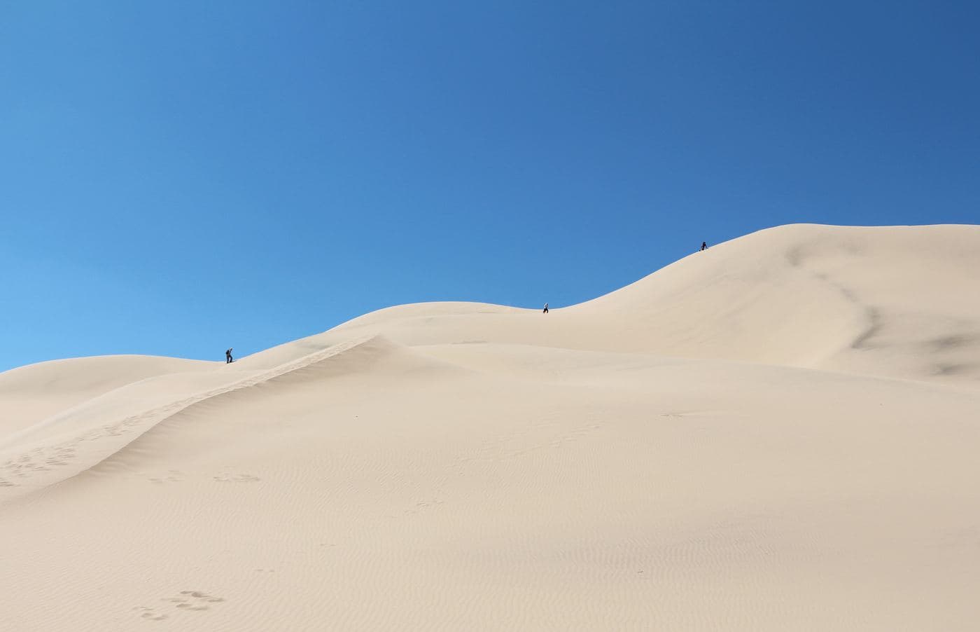 Sand dunes of Khongoryn Els, Gobi Desert, Mongolia