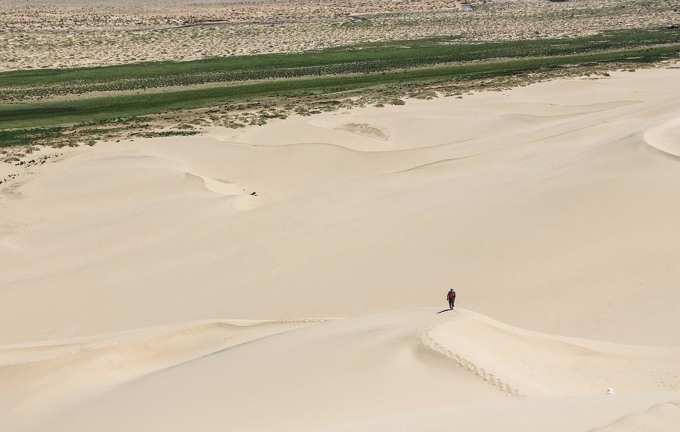 Sand dunes of Khongoryn Els, Gobi Desert, Mongolia