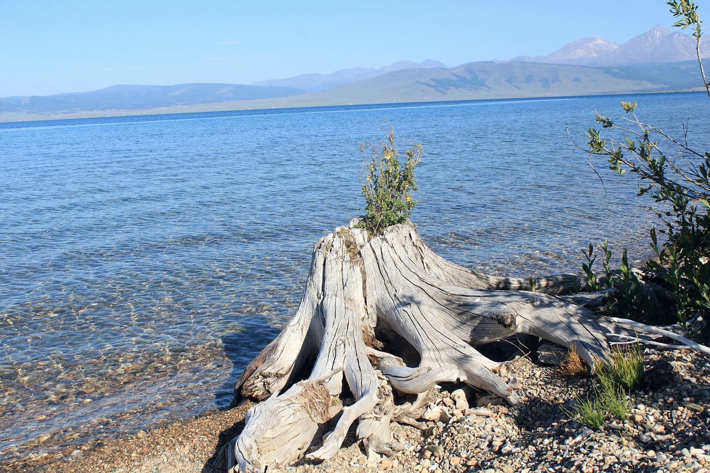Picture of lake khuvsgul