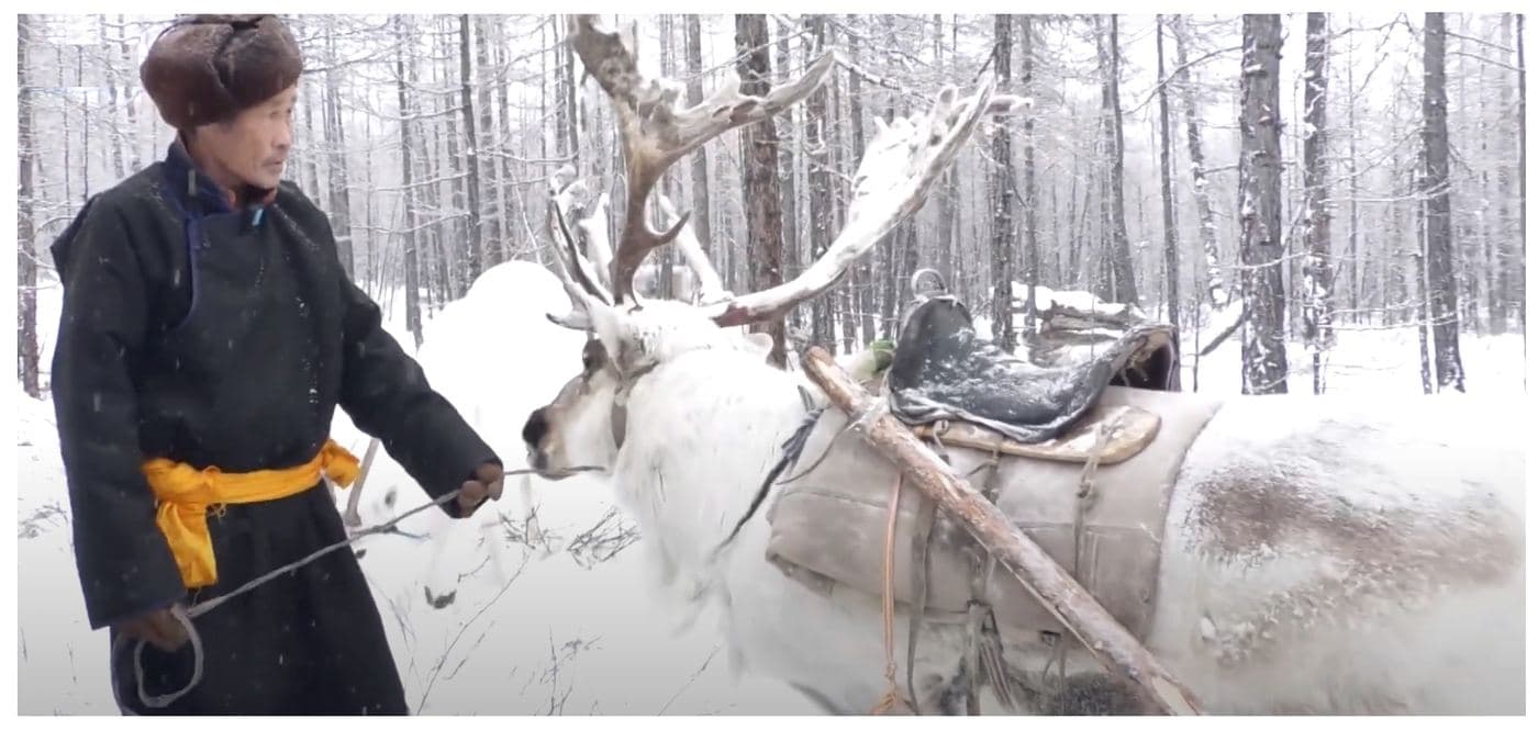 Tsaatans in Mongolia
